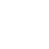 icona linkedin